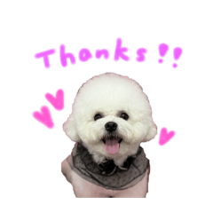 yuka_20251027153300