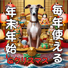 resale italian greyhound holiday