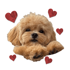 yuzuki_20251027155715