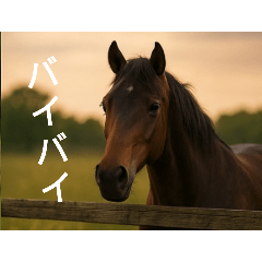 senmaru_20251027174318