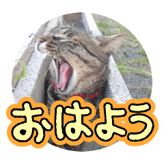 chihiro_20251027174245