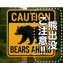 ※【熊出没注意】※