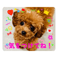 JINKO_20251027164214