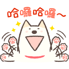 白柴柴和黑柴柴的聯絡用貼圖