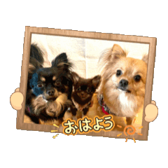 Akane_20251028013237