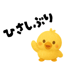 sorane_20251027160555