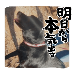 Salman brothers_20251027181200