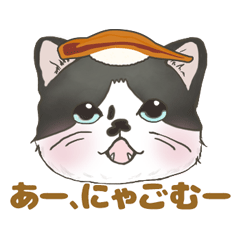 Sushi cat w/Japanese joke