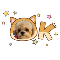 tuuchan_20251027161341