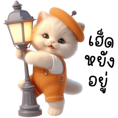 เหมียวชุดส้มอิหยังวะ (อีสาน)