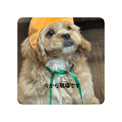 AYUMI_20251027190255