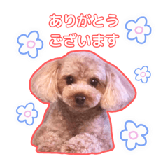 Yurie_20251027083916