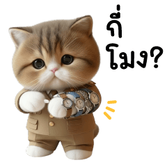 ข้าราชแมว ❤️ น่ารัก