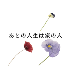 Sakura_20251027192532