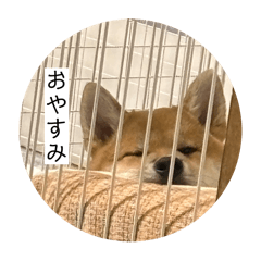 HARUNA_20251027193611