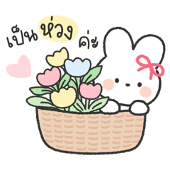 "แอลลี่“ กระต่ายน่ารัก - คำห่วงใย