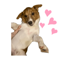 big Fortune_20251027224549