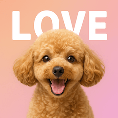Cheerful Toy Poodle Emotions