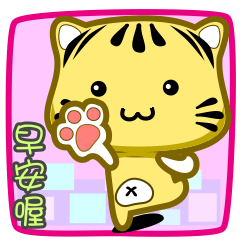 可愛條紋小貓貓!!!CAT89
