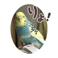 suzu_20251027195850