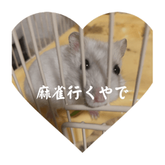 chisaki_20251027201637