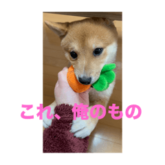 Yuka_20251027200957