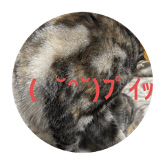 SHINZO_20251027202234