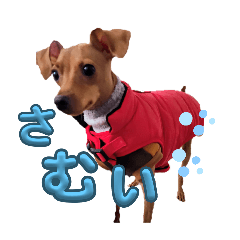 sachi_20251027215537