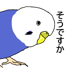 kaisyain sekikei2