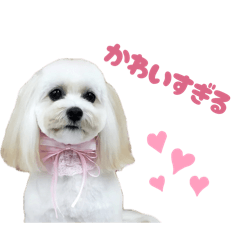 yurie_20251028000109