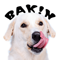 BAK!N