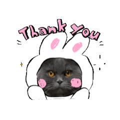 Tsuckey_leon_20251028051758