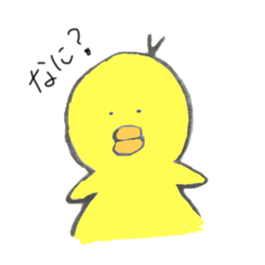 DUCK's Daily
