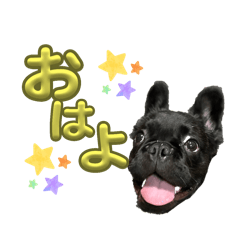 noariko_20251027205744