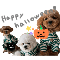 yuka_20251027210139