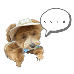 tukune_20251027210746