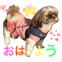 donta_20251027205504