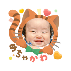 nr_tkk_20251027213211