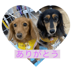 Ayumi_20251027214353