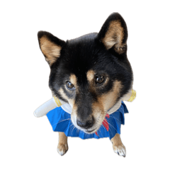 Kaori_20251027214525