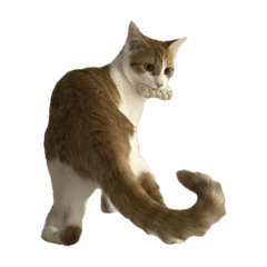 Mayakovsky_20251027231406