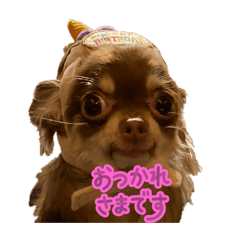 TAKASHI_20251028000805