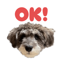 eriko_20251027214737