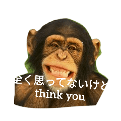 kaito_20251026221751