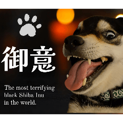 kuroshiba_izumo_20251027223704