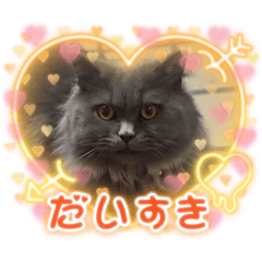 Tsuckey_leon_20251028003852