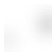 kingyo_20251027232659