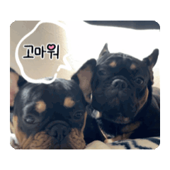 muumoo_20251028123405