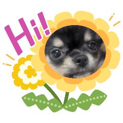 yukari_20251028090855