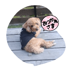funnysunny_20251028123733